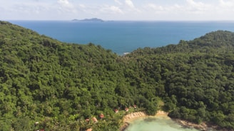 A dense, lush green forest covers the hillside, descending towards a small, isolated beach with turquoise waters. A series of small red-roofed cabins is nestled at the edge of the forest near the coastline. In the distance, a calm sea stretches out to the horizon, with a small island visible far off.