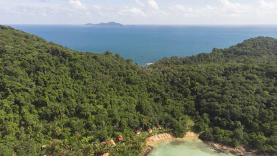 An eco-tourism lodge nestled among lush greenery overlooking the ocean.