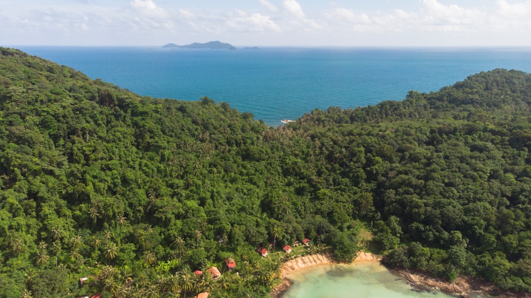 travelers stories about Tropical and subtropical coniferous forests in Koh Chang, Thailand