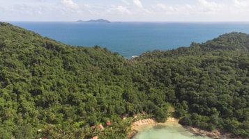A dense, lush green forest covers the hillside, descending towards a small, isolated beach with turquoise waters. A series of small red-roofed cabins is nestled at the edge of the forest near the coastline. In the distance, a calm sea stretches out to the horizon, with a small island visible far off.