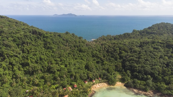 A dense, lush green forest covers the hillside, descending towards a small, isolated beach with turquoise waters. A series of small red-roofed cabins is nestled at the edge of the forest near the coastline. In the distance, a calm sea stretches out to the horizon, with a small island visible far off.