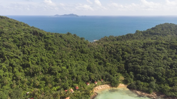 A dense, lush green forest covers the hillside, descending towards a small, isolated beach with turquoise waters. A series of small red-roofed cabins is nestled at the edge of the forest near the coastline. In the distance, a calm sea stretches out to the horizon, with a small island visible far off.