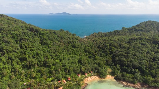 green trees near body of water during daytime in Koh Chang Thailand