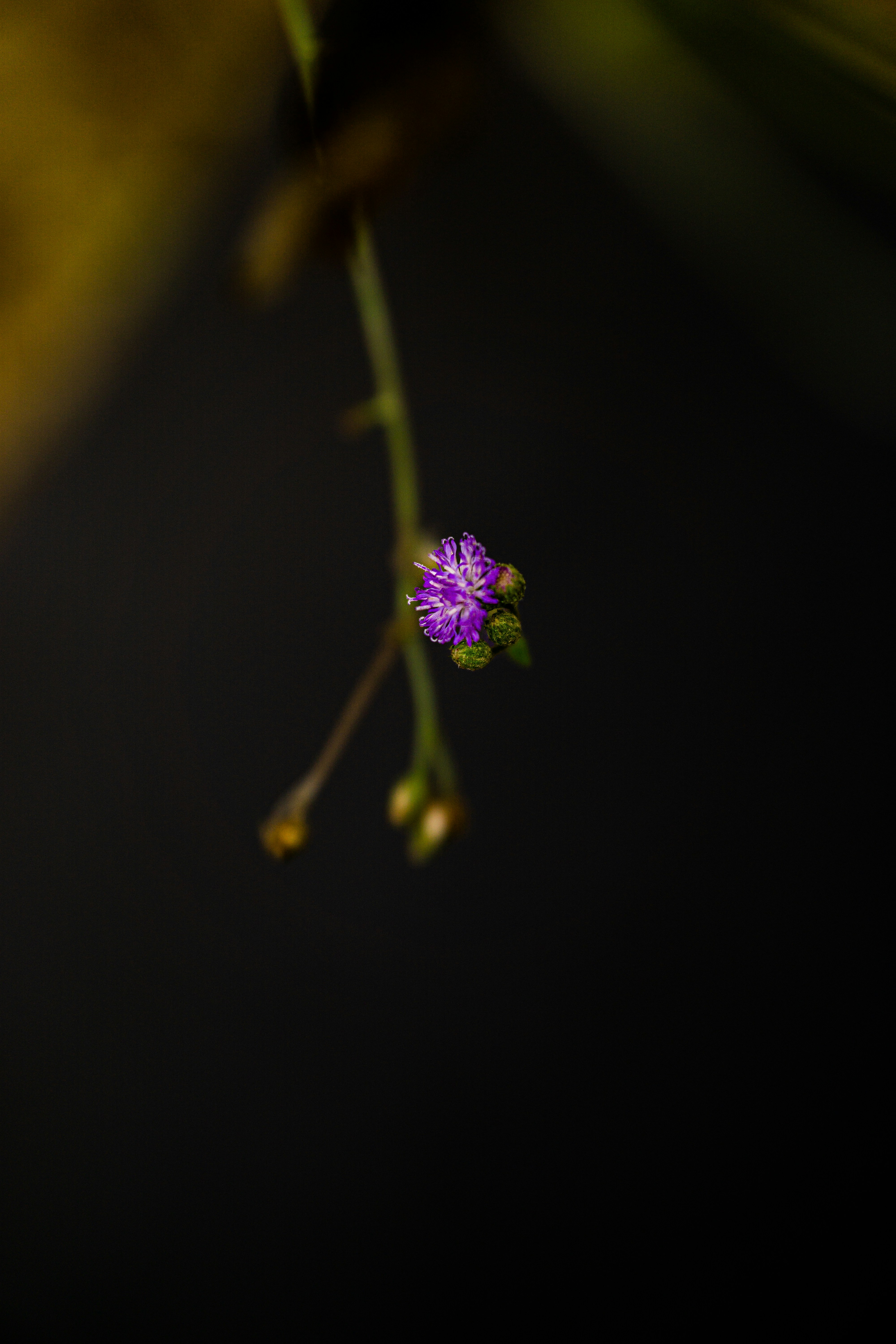 Photo by haiiimam