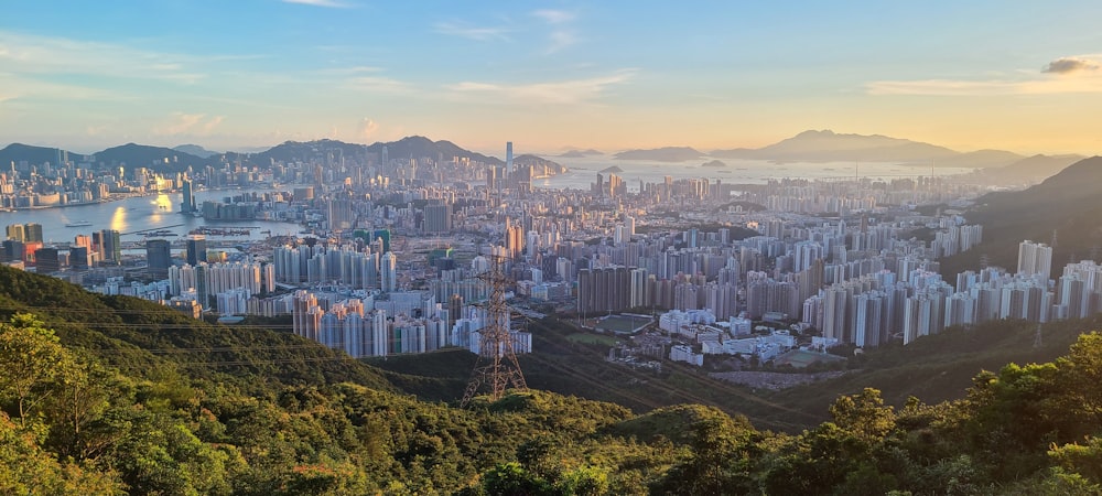 city skyline during day time