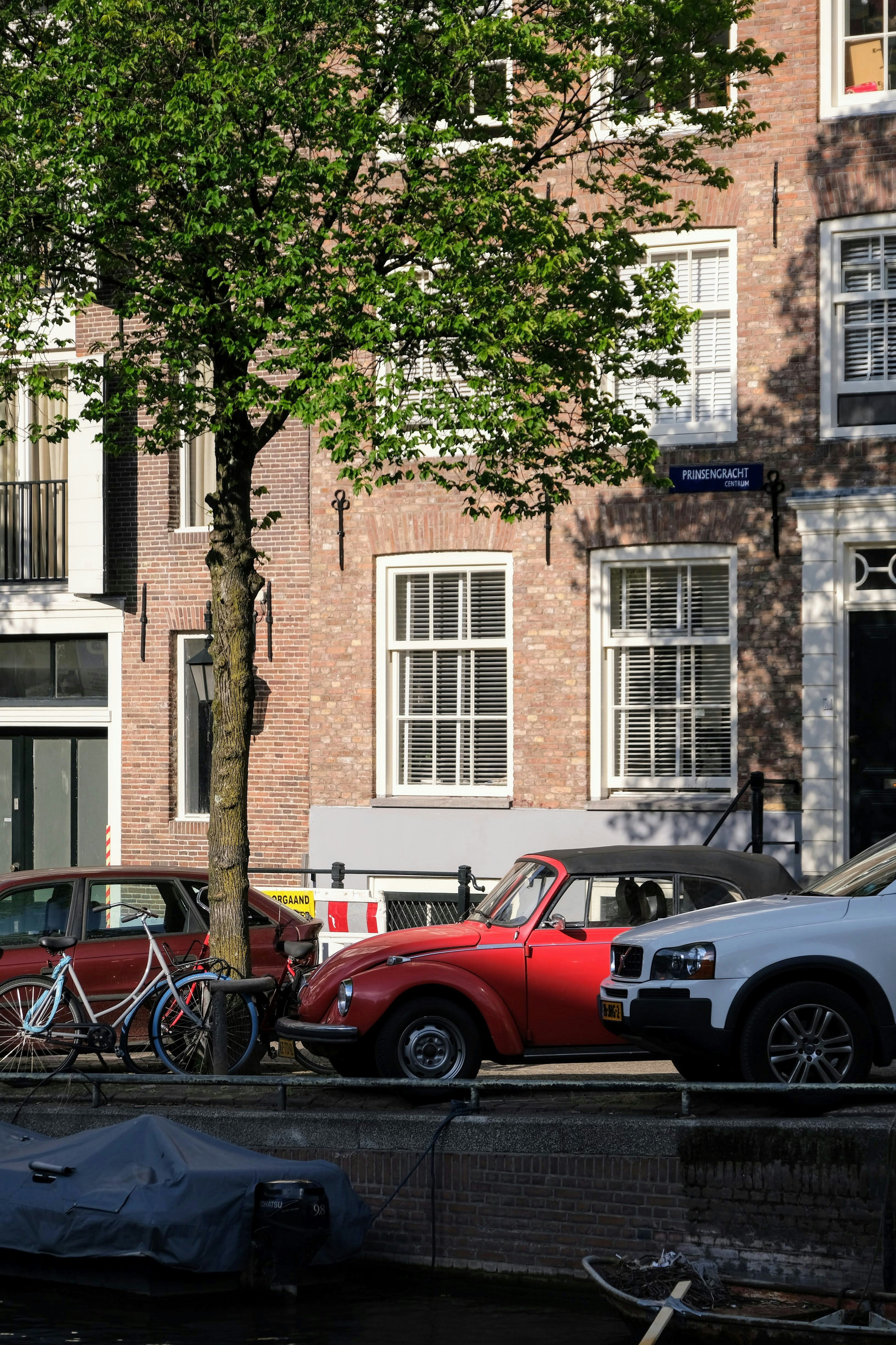 Red and black coupe parked beside green tree during daytime photo