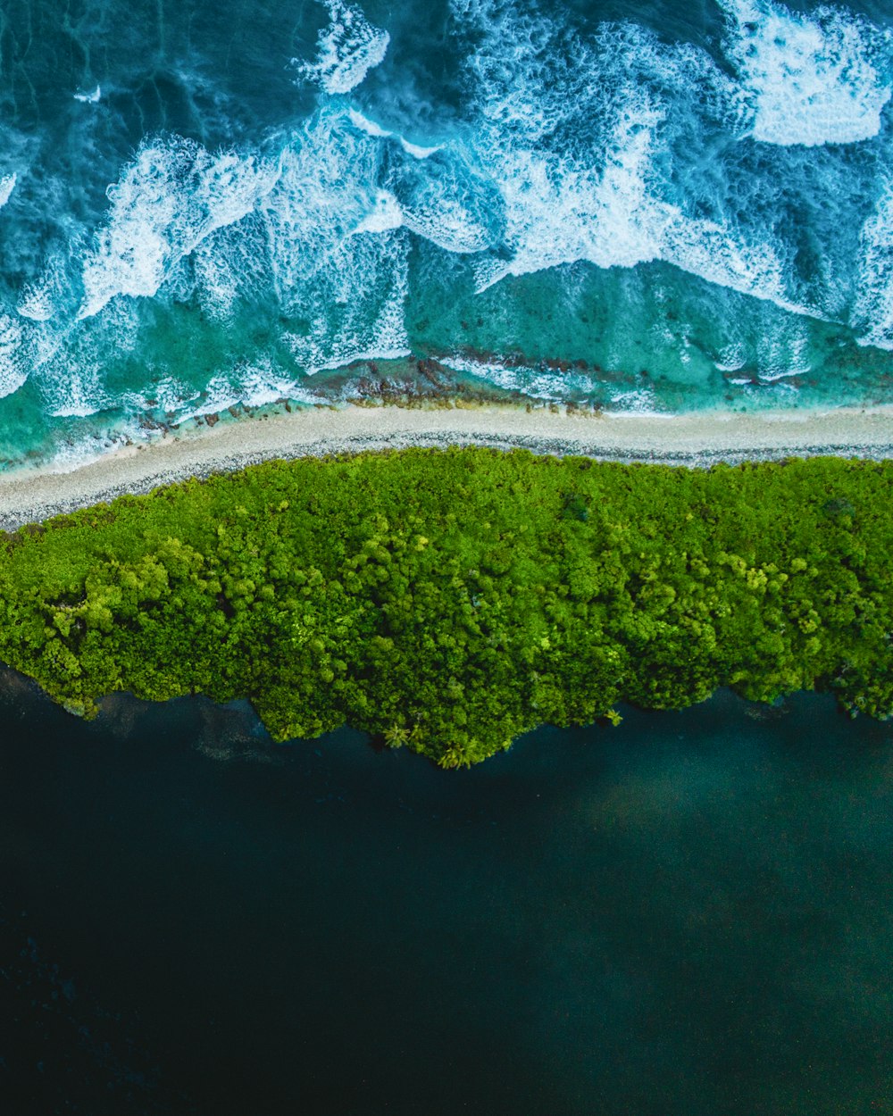 aerial view of green trees and lake