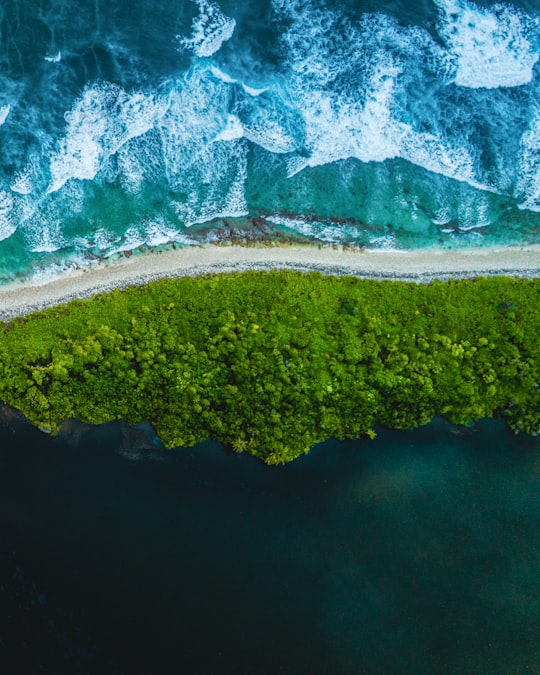 aerial view of green trees and lake in Addu City Maldives