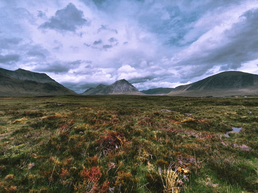 green grass field near mountain under cloudy sky during daytime