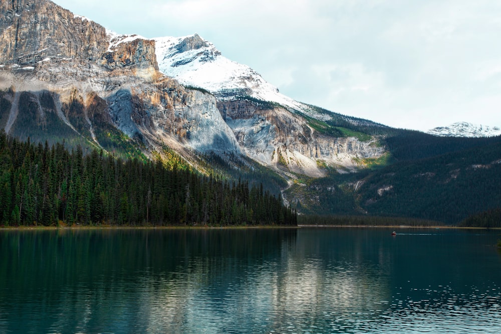 green trees near lake and snow covered mountain during daytime