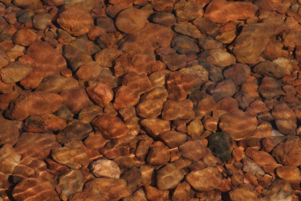 brown and black stone fragments