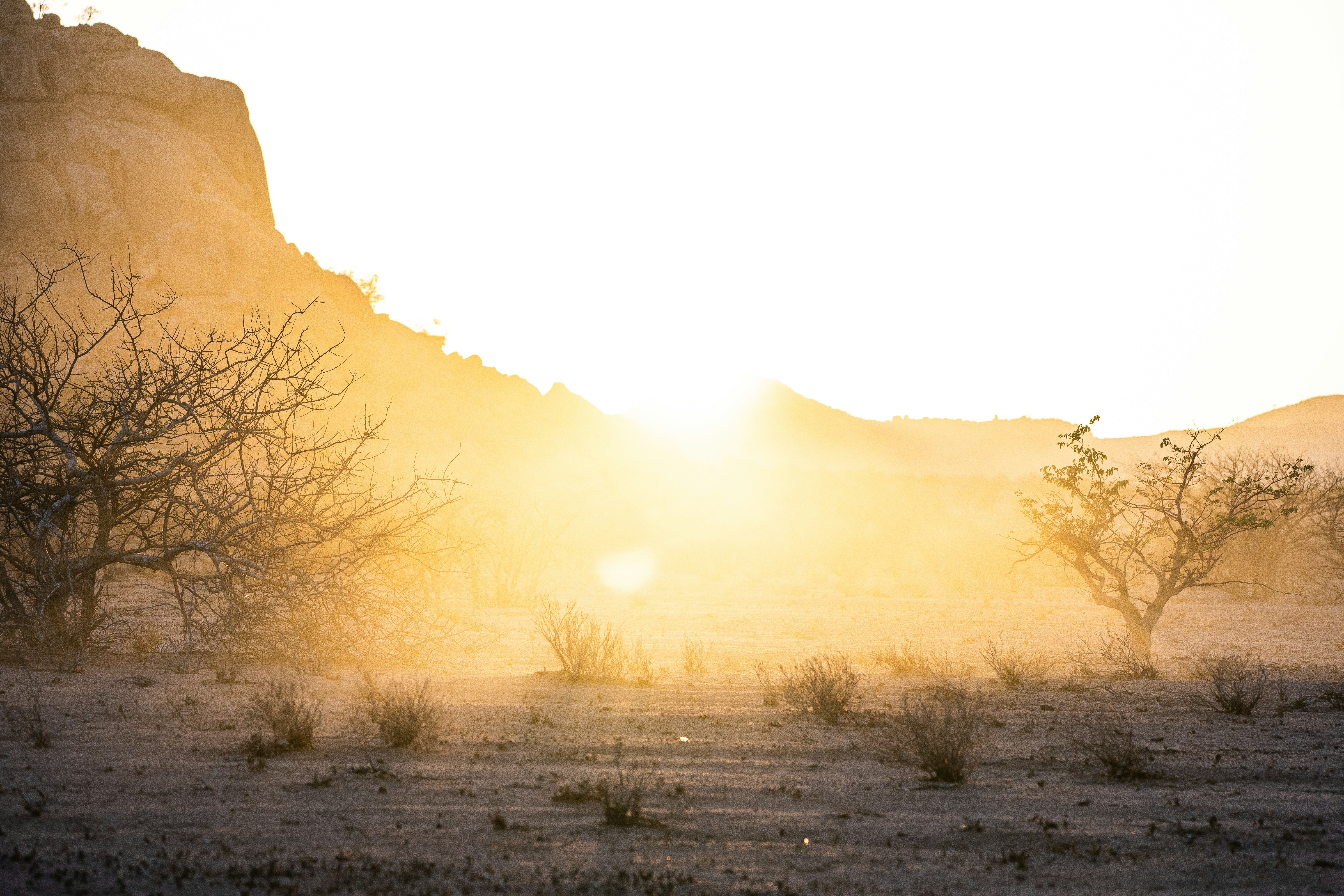 Hot days exploring the arid land of Damaraland, Namibia. There is such beauty in this harsh, dry climate. February 2020.