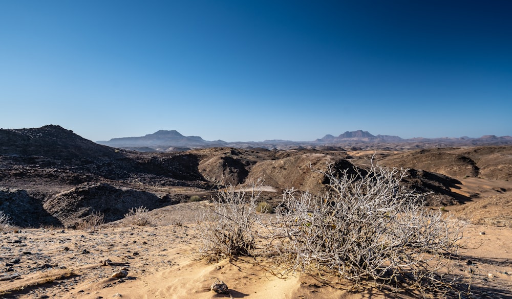 brown mountain under blue sky during daytime