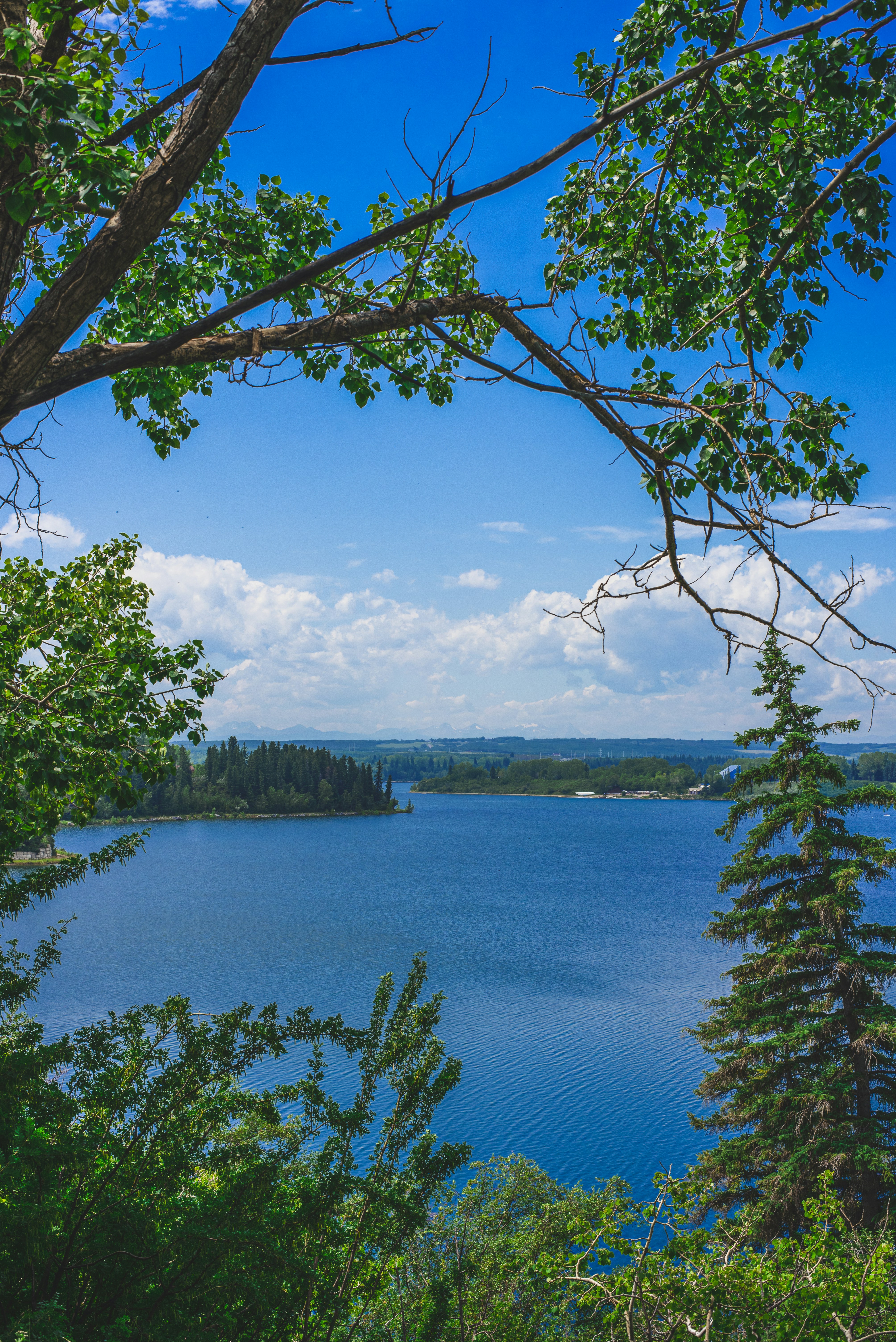 Photo by ryunosuke_kikuno