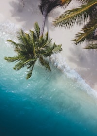Aerial view of a tropical beach with clear blue water and white sand.