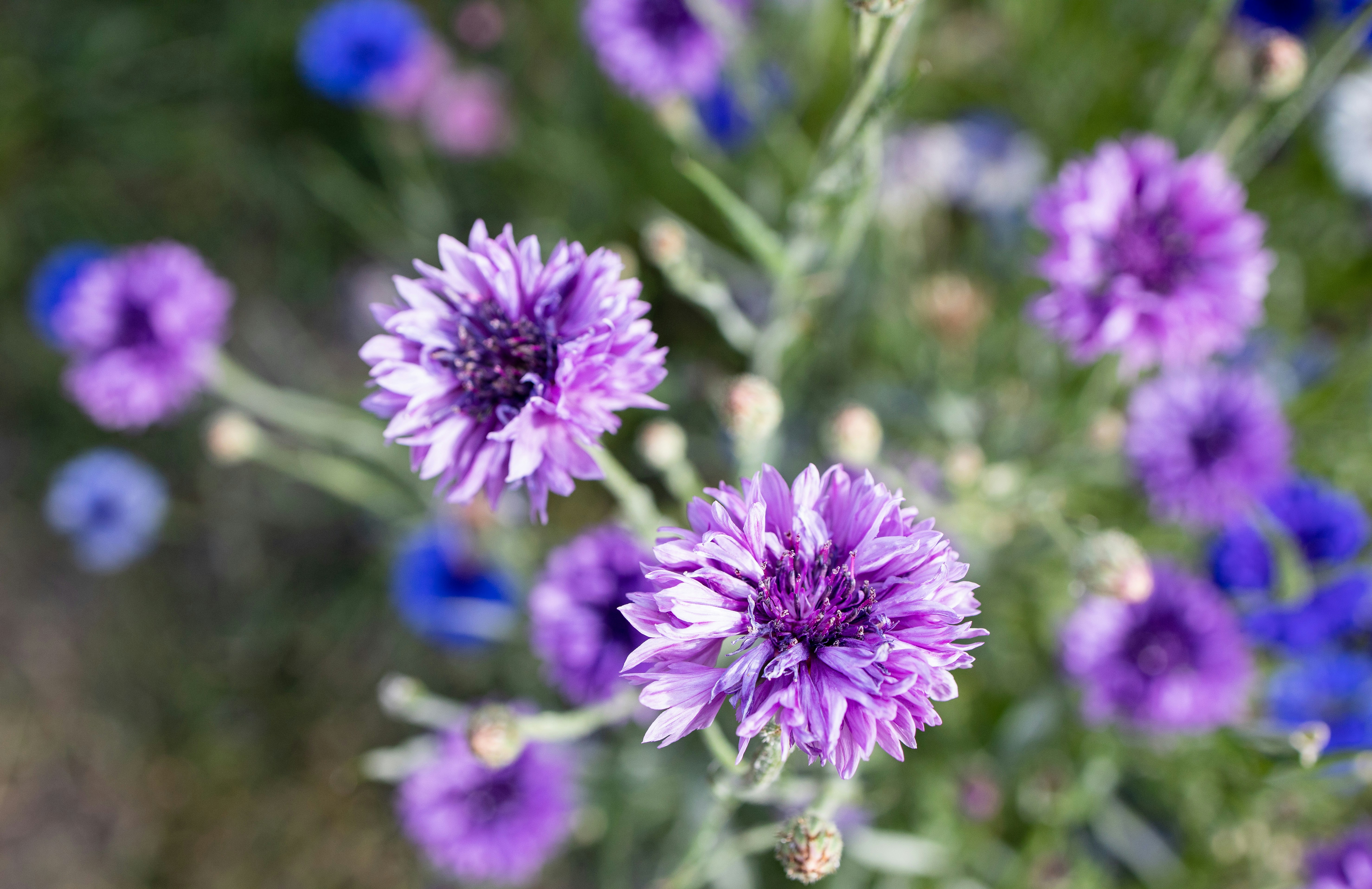 Photo by grievek1610begur