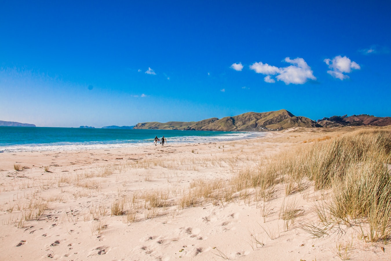 new zealand-coromandel