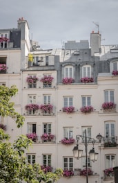 purple and white concrete building