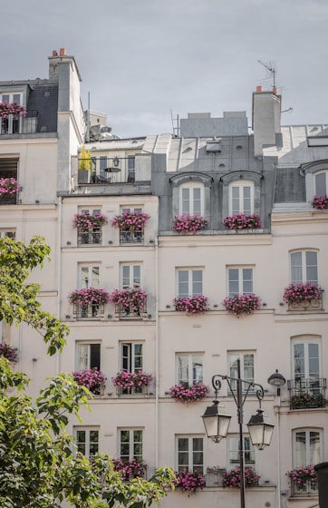 purple and white concrete building