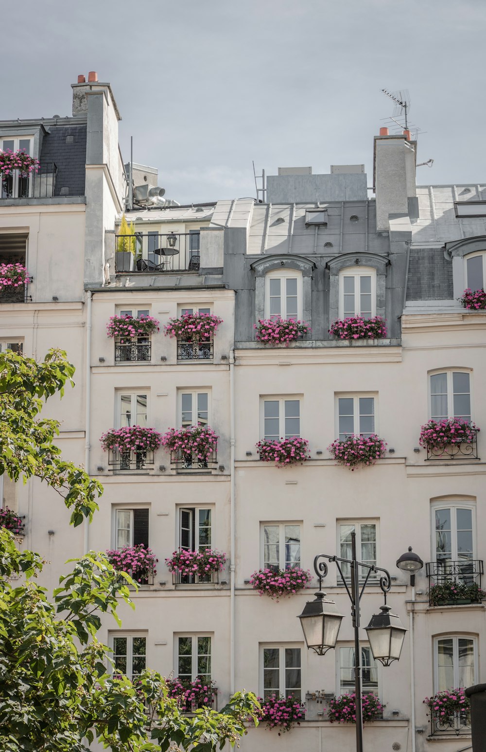 purple and white concrete building