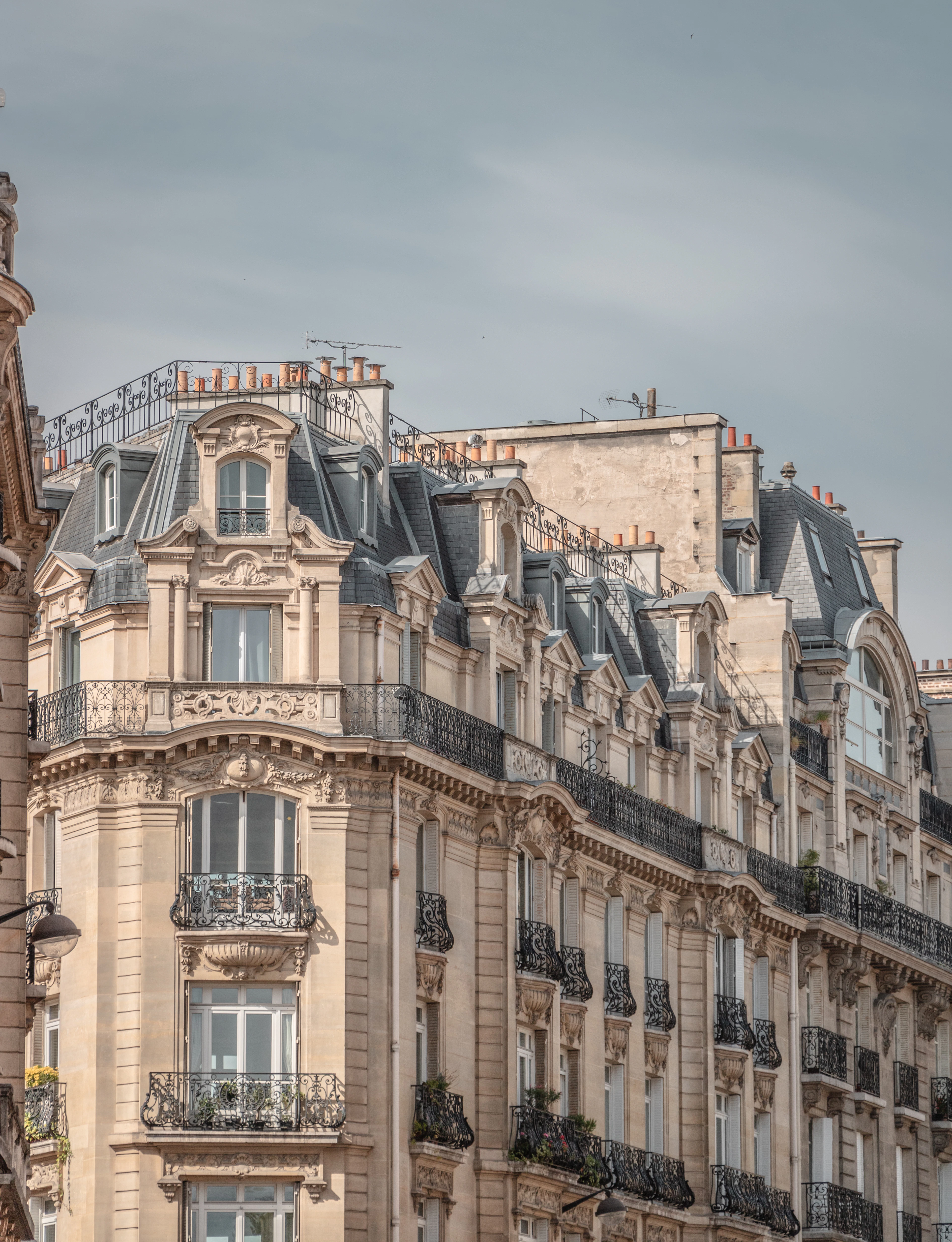 Parisian mansard roofs and dormer windows above a pale stone facade, zinc and slate in afternoon light