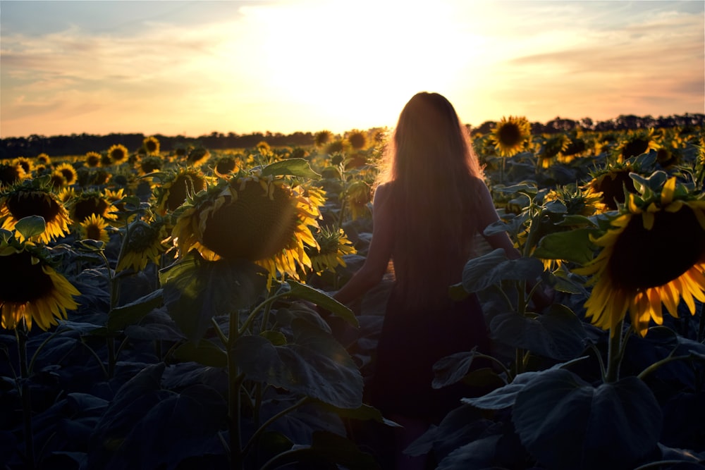 woman sitting on green grass field during sunset