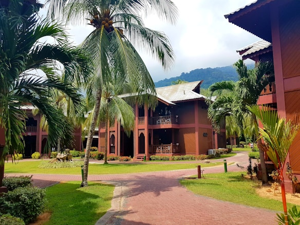 A serene resort scene with traditional wooden buildings surrounded by lush palm trees. The pathway is paved with red bricks, and in the background, there are green hills partially obscured by mist.