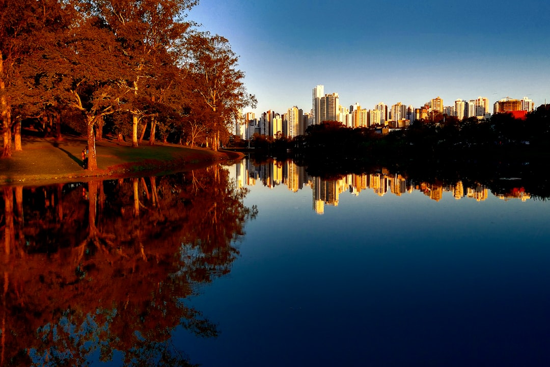 River photo spot Londrina Brasil