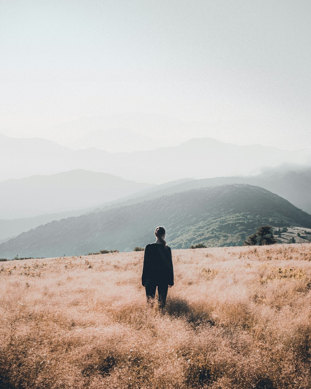 person in black coat standing on brown grass field during daytime