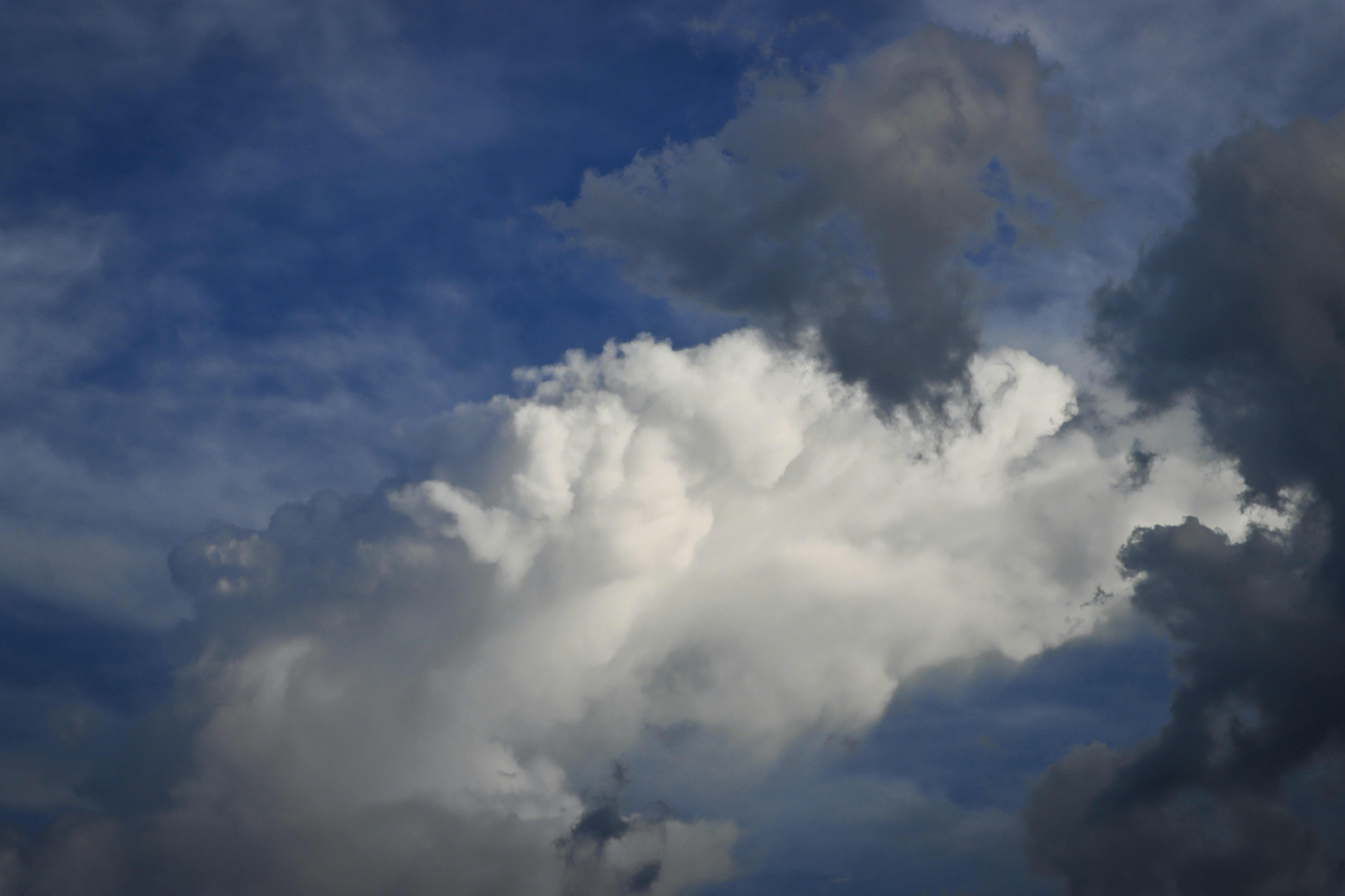 Photo by benjamin_1017