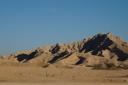 brown and gray mountains under blue sky during daytime in Al Ain United Arab Emirates