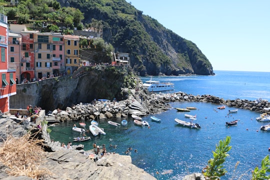 people on beach during daytime in Parco Nazionale delle Cinque Terre Italy