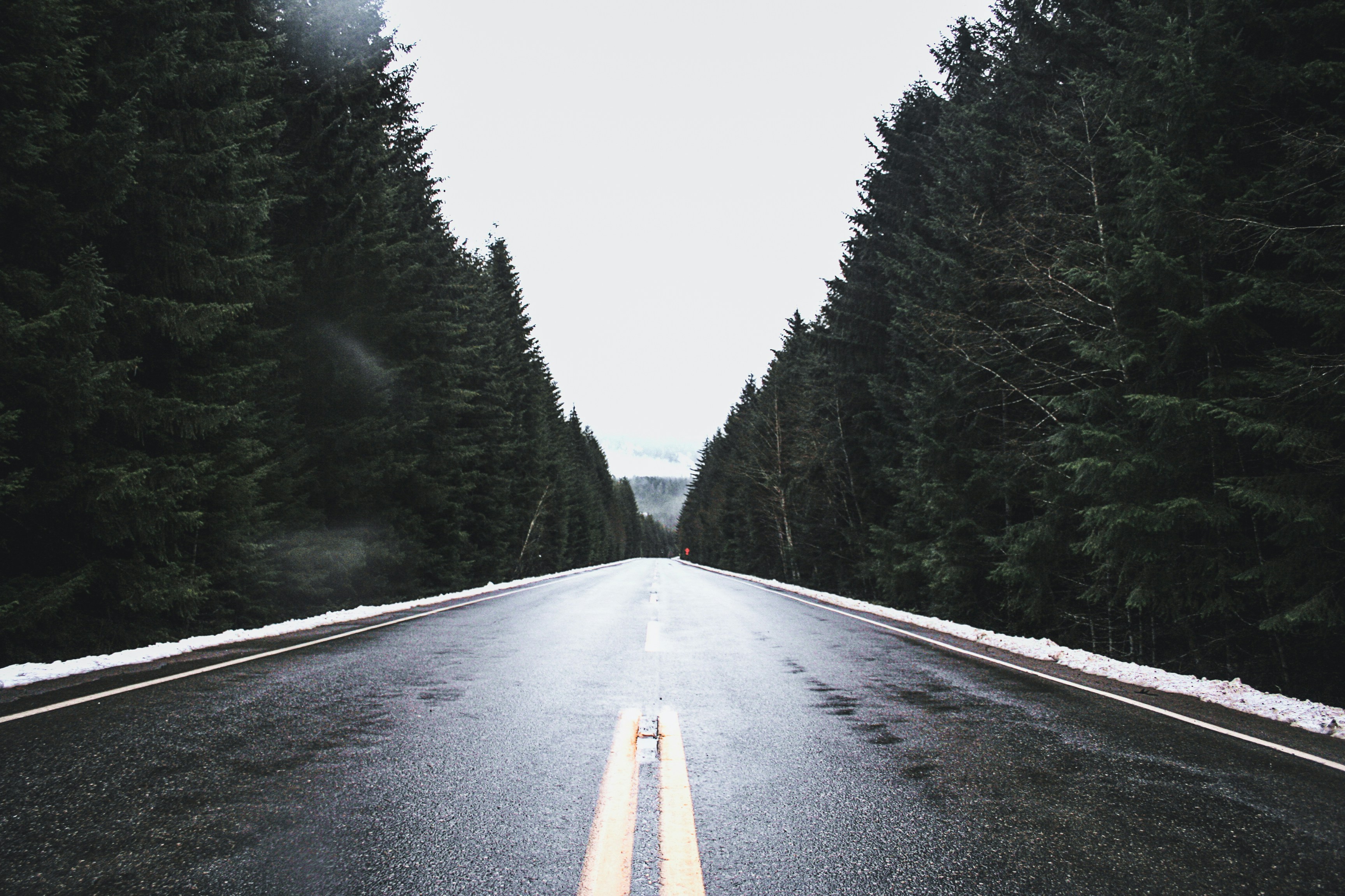 Photo by brydoncreative