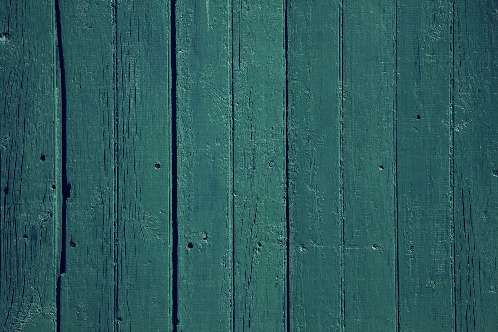 green wooden wall during daytime