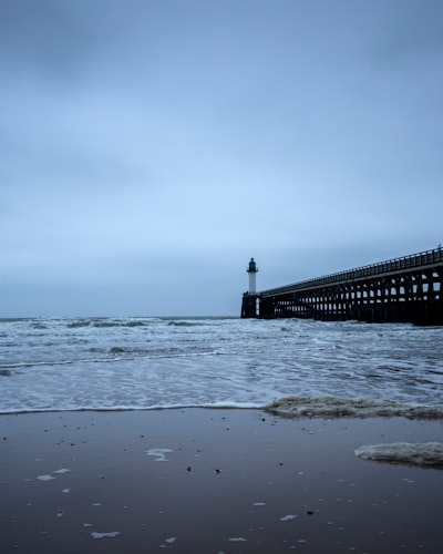 brown wooden dock on sea during daytime