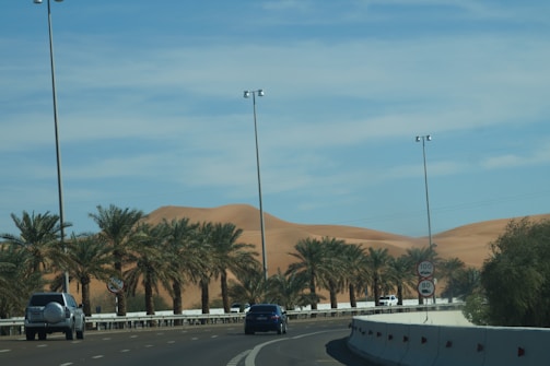 A road flanked by palm trees leading towards sandy desert dunes under a clear blue sky. Cars are traveling on the road, and there are road signs indicating speed limits.