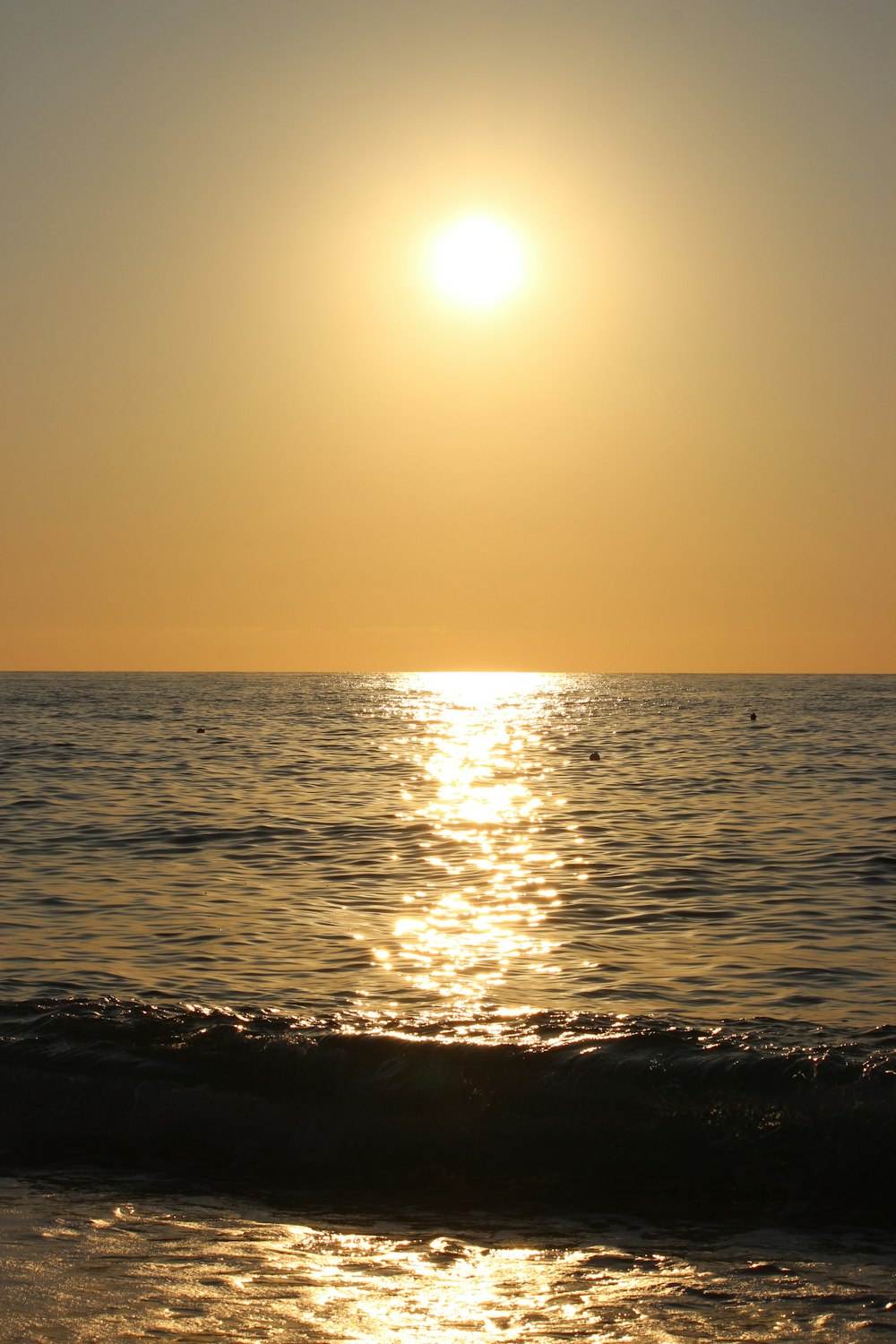 body of water during sunset