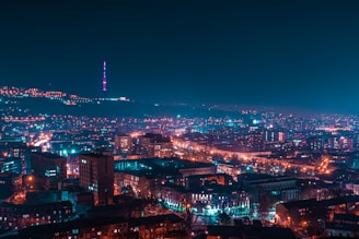 city with high rise buildings during night time