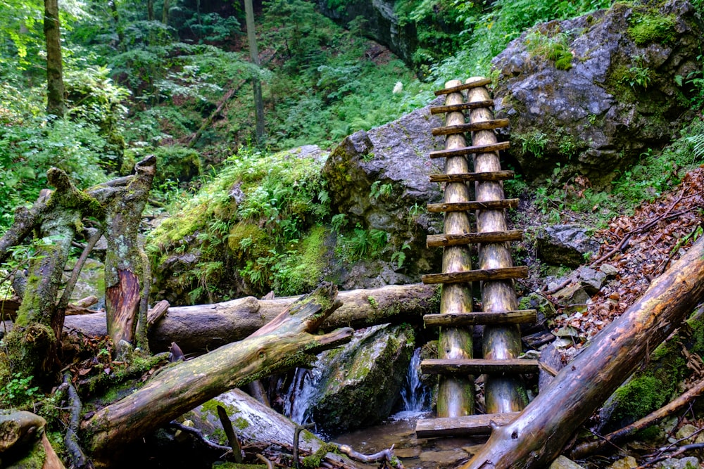 a wooden structure in the middle of a forest