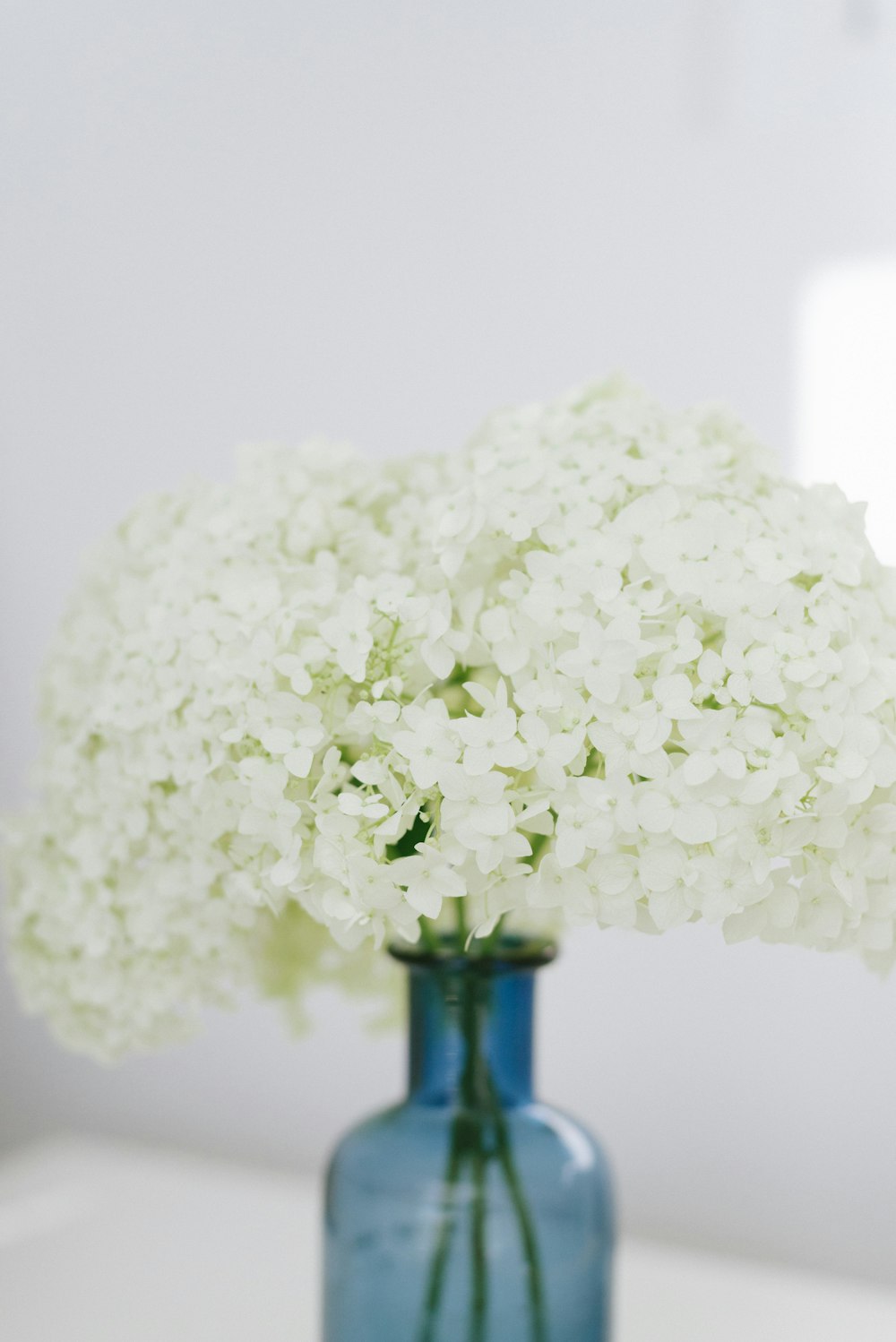 white flower on blue glass vase