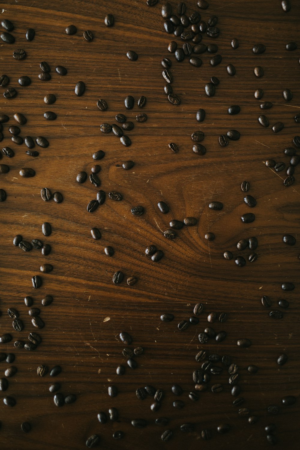 brown and black coffee beans