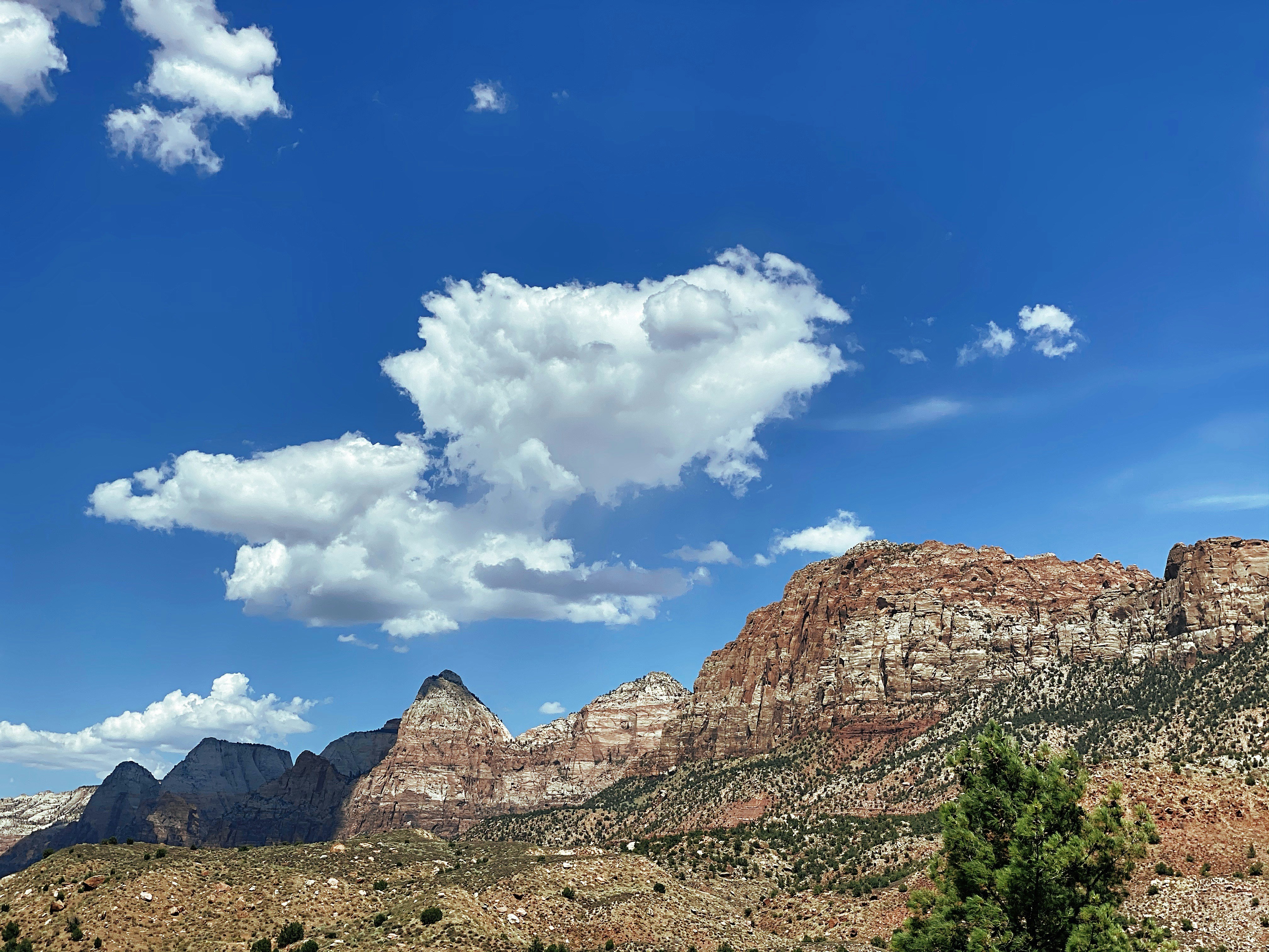 Photo by picsbyjameslee