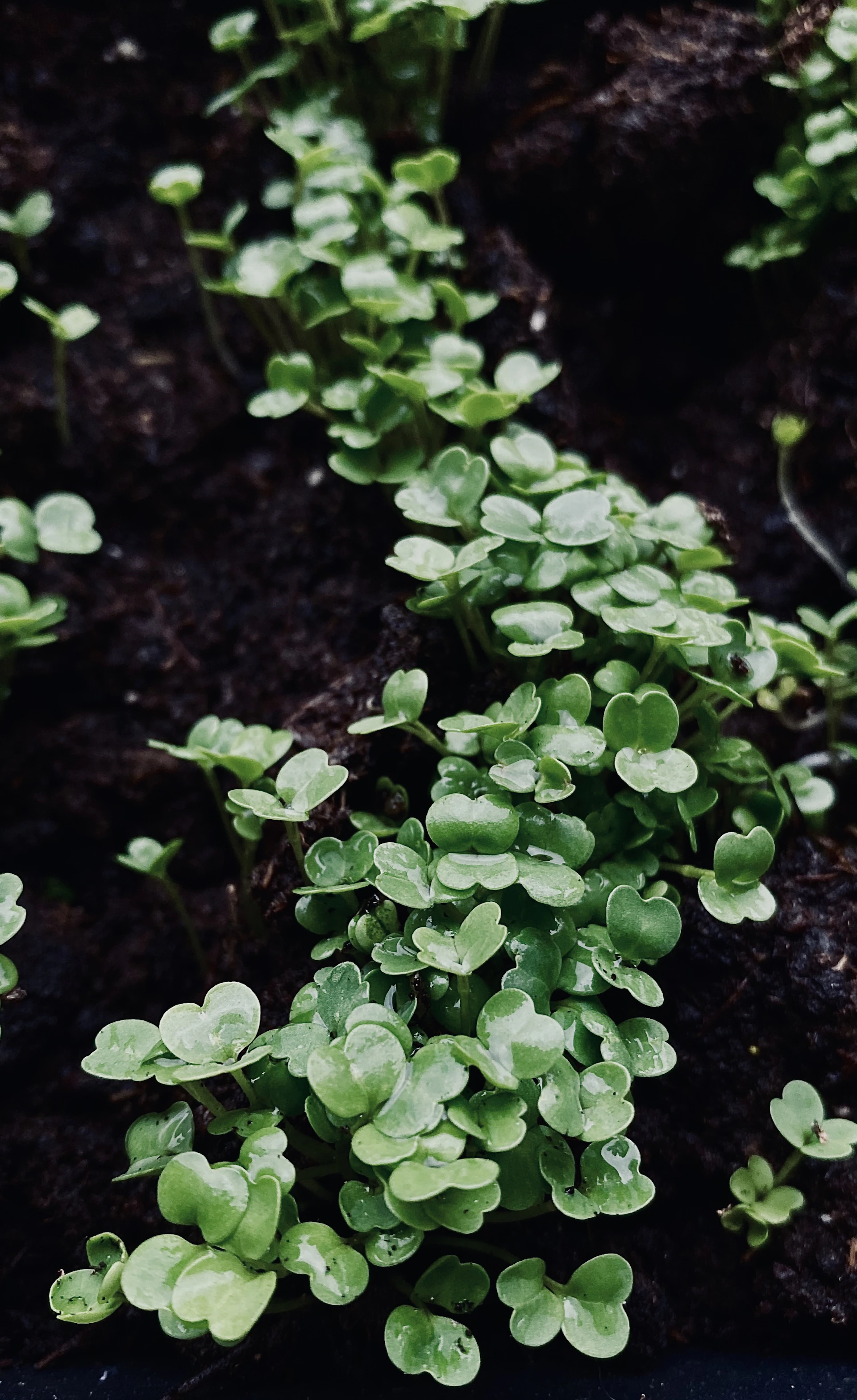 person wearing grey knit sweater