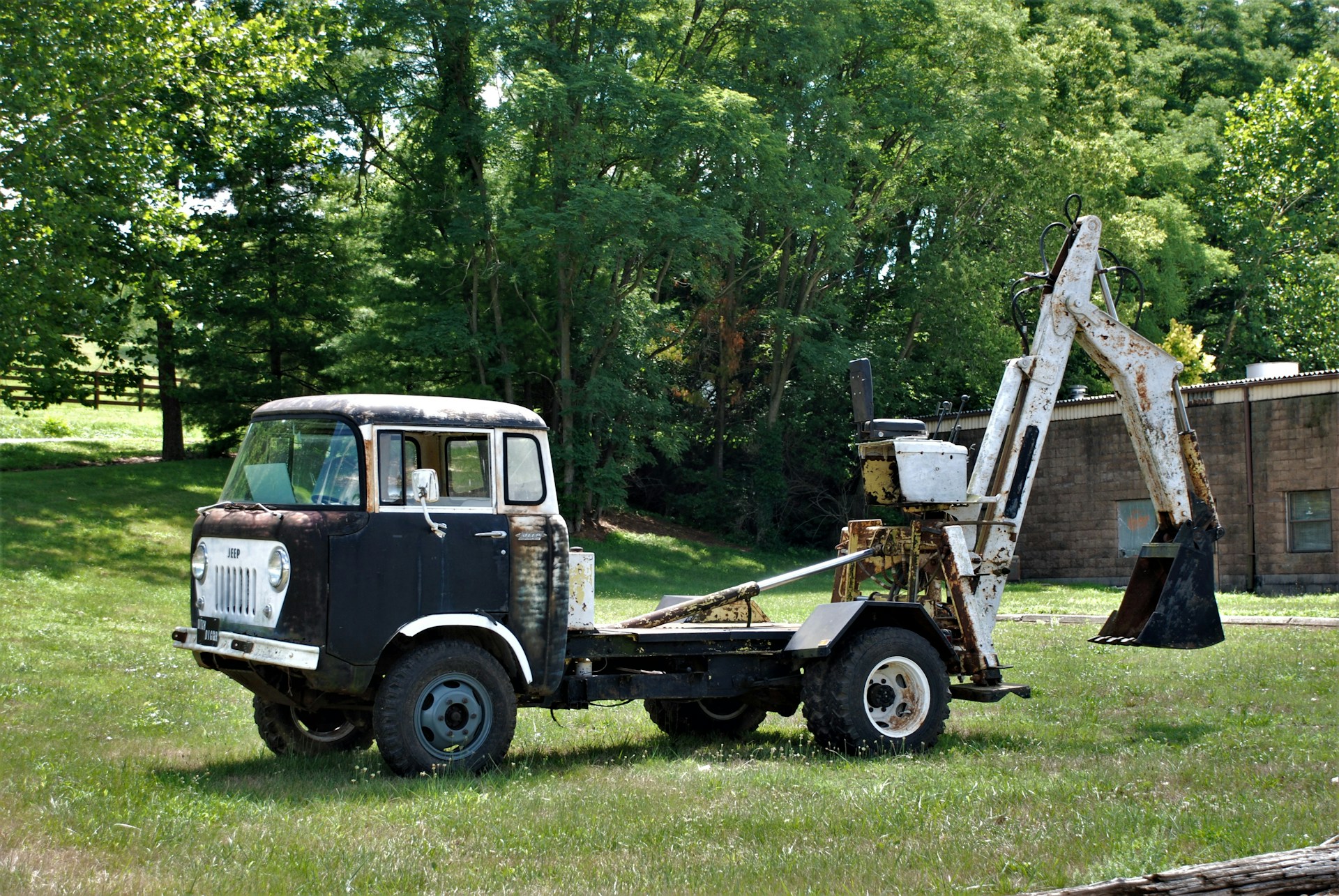 woman wearing yellow long-sleeved dress under white clouds and blue sky during daytime