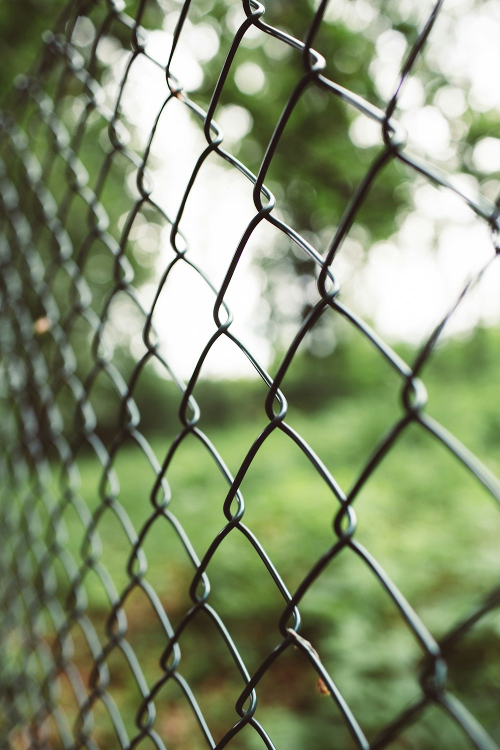 grey metal fence with water droplets