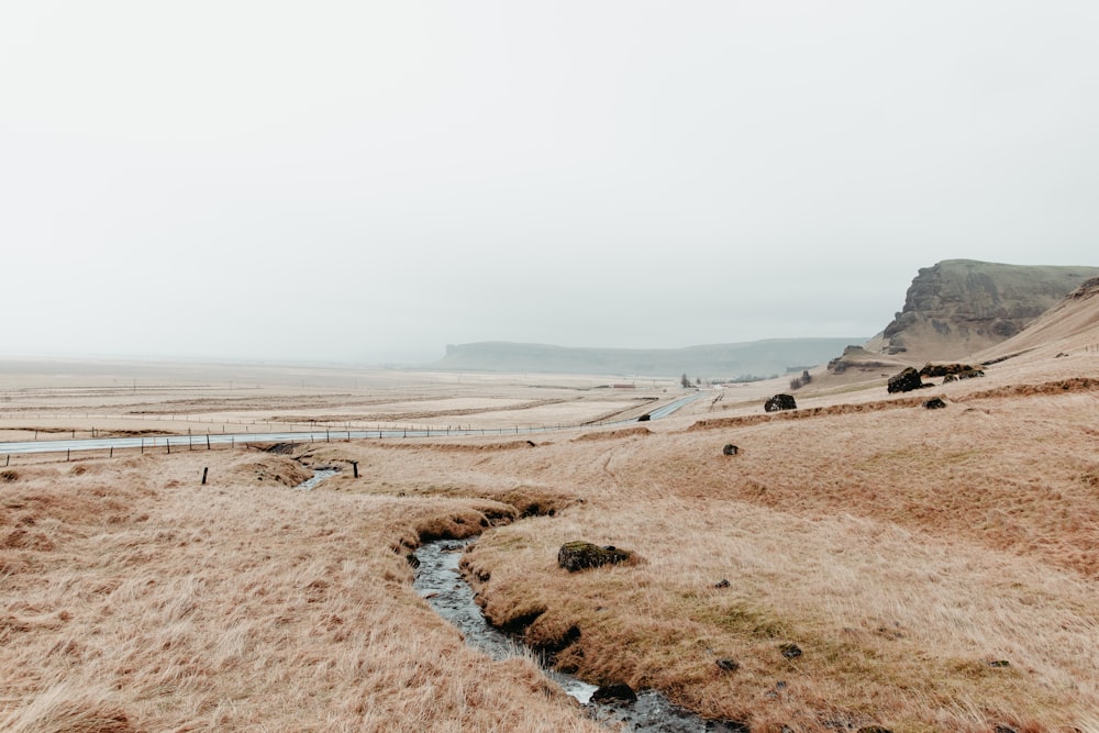 brown sand near body of water during daytime