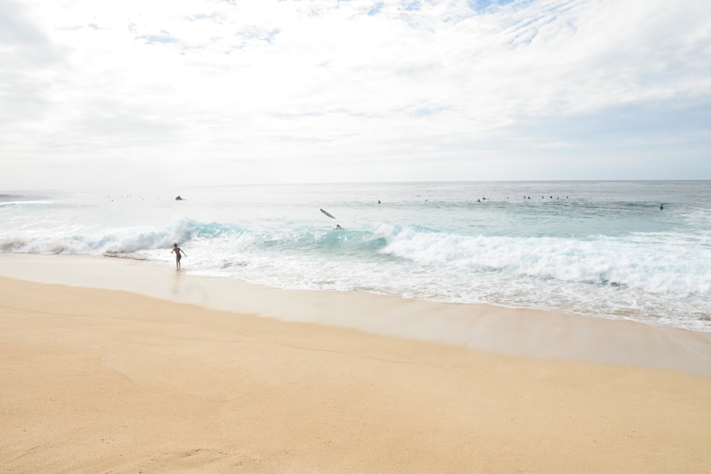 people on beach during daytime