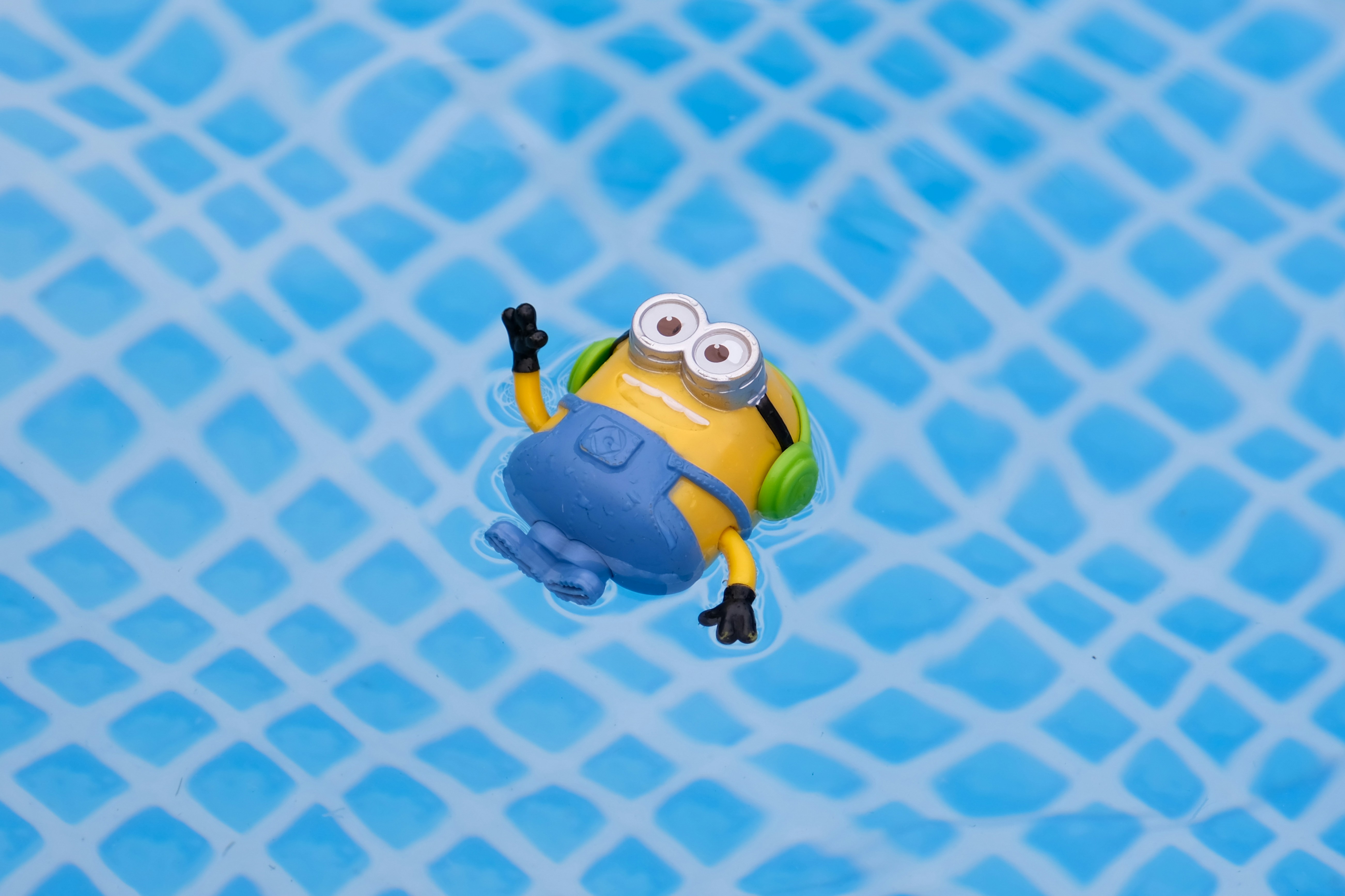 Minion on holiday