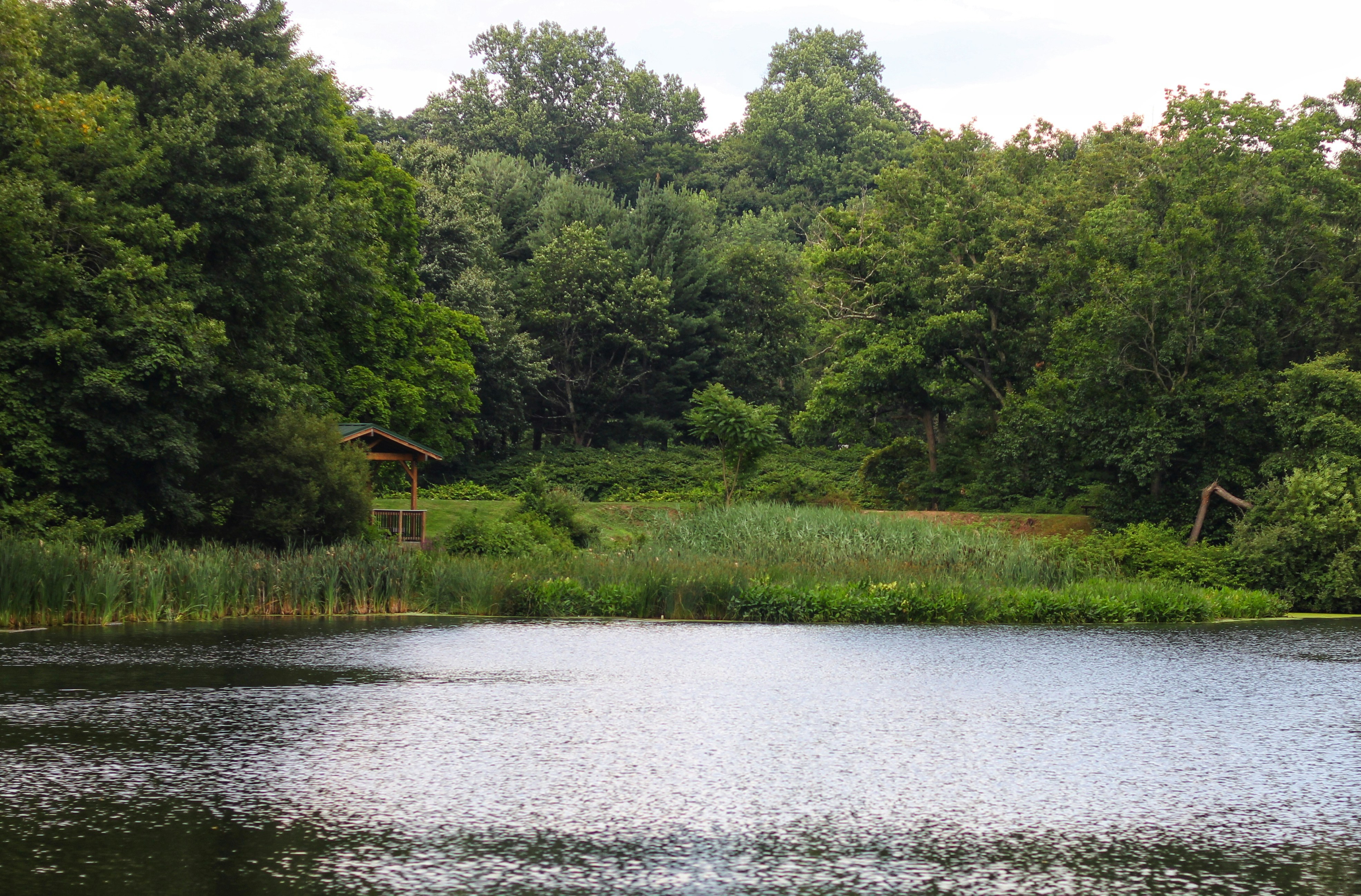 Photo by hocuspocusphotography