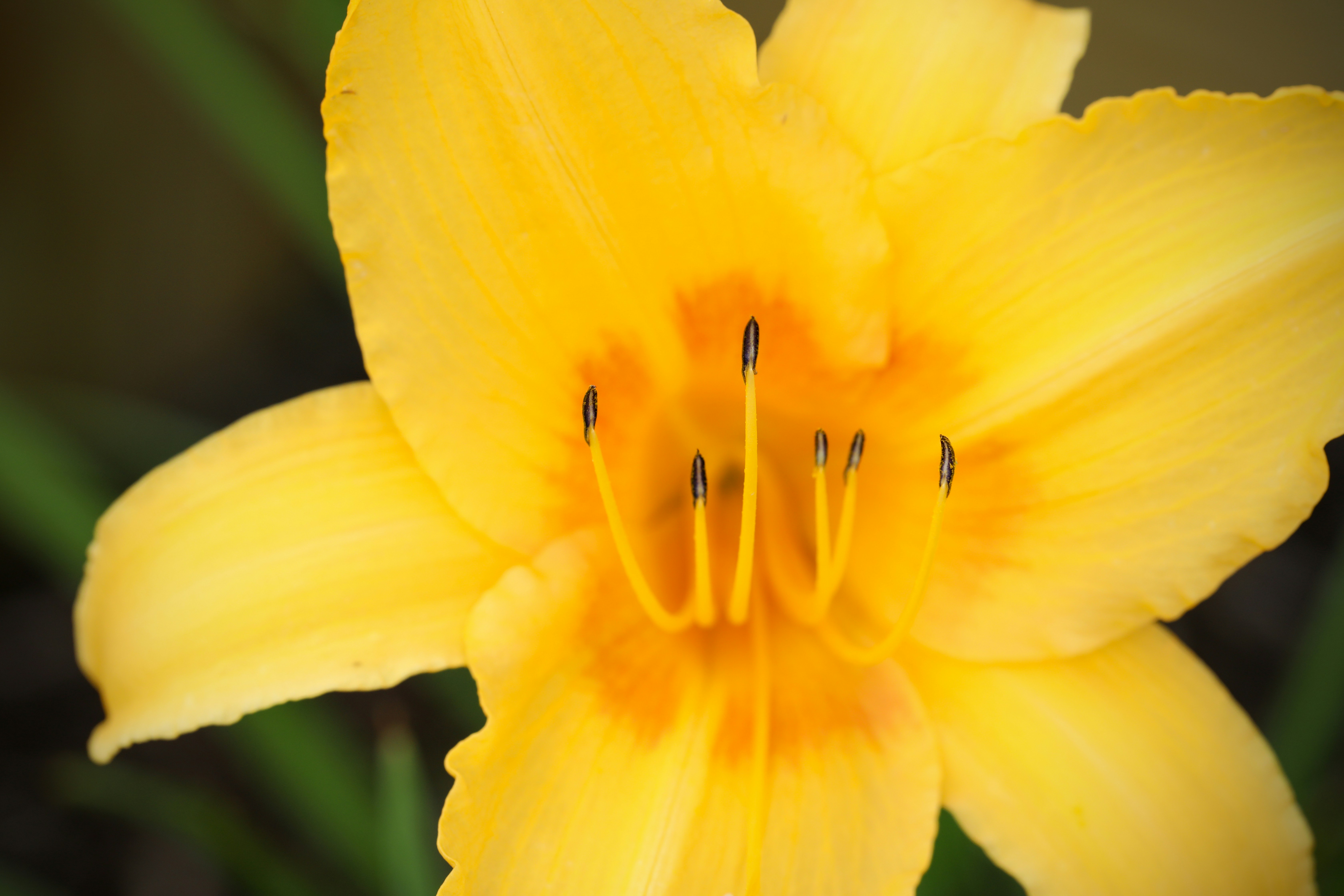 Photo by michaelbweidner